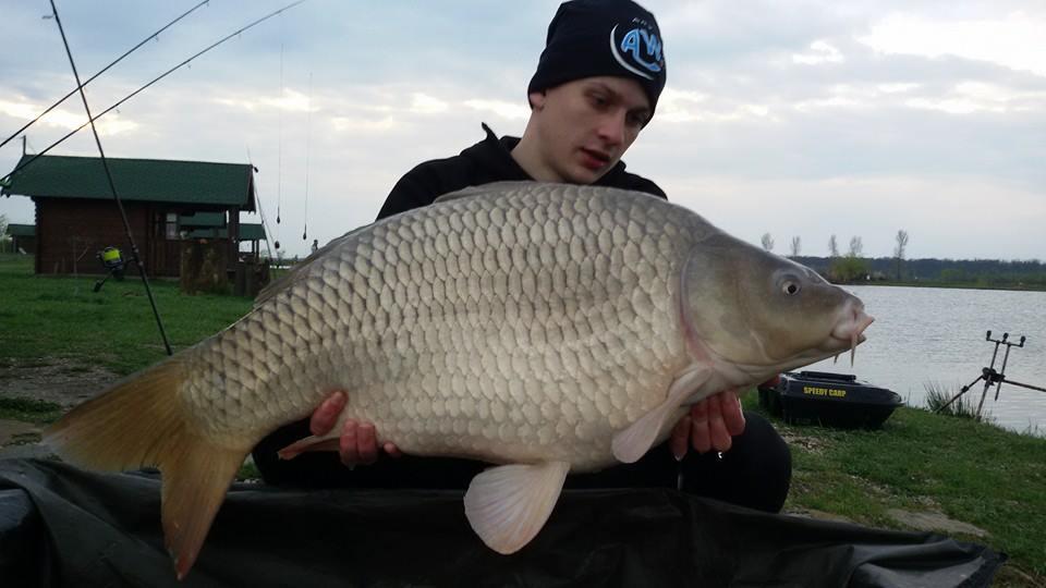 Lacul Moby Dick - 111527028395442727863378603440192977792340n.jpg